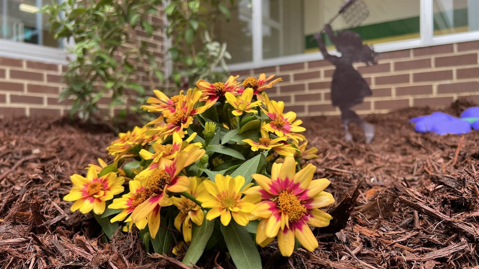 Drip irrigation for new plantings Western NC